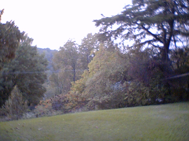 View of front yard